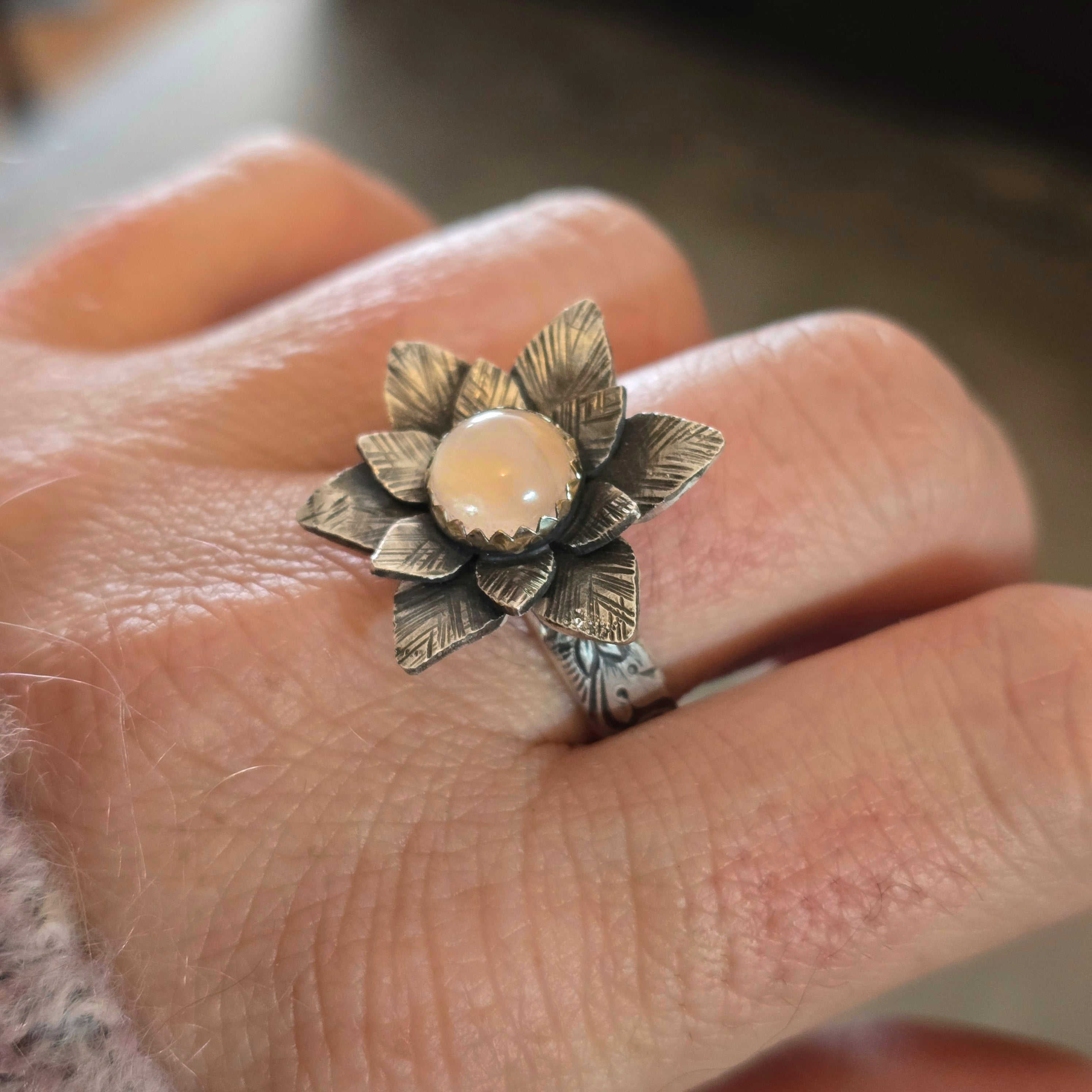 Custom Order Payment Plan for Lexis